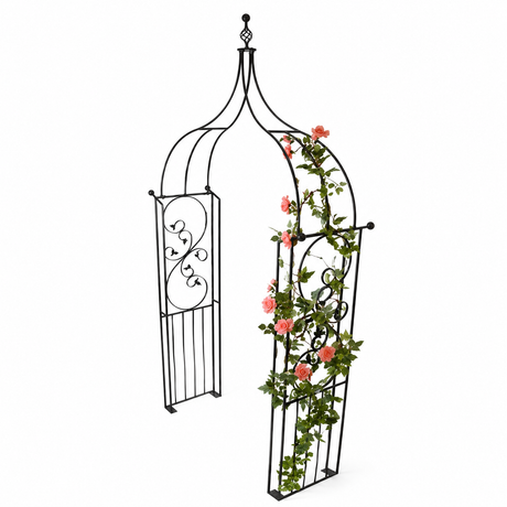 Decorative metal garden arch with climbing plants on a white background