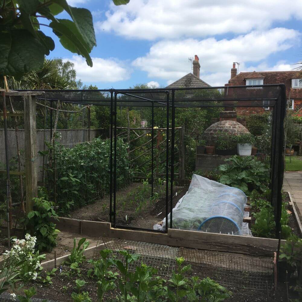 black fruit cage in back garden of house