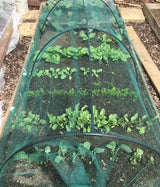 garden tunnel made from black modular hoops with green butterfly netting