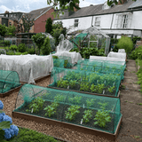 black hoops vegetable tunnel butterfly netting