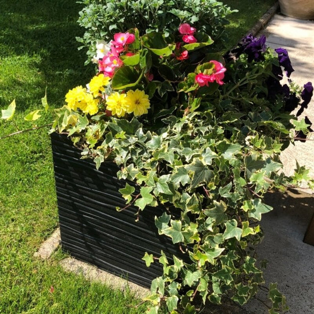 A black recycled rubber garden planter filled with various colorful flowers and greenery, placed on a sunny outdoor setting.