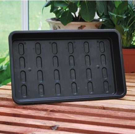 Black Seed Trays & Propagation Lids