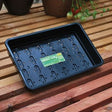 A black plastic seed tray with drainage holes, placed on a wooden surface with a plant in the background.