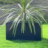 Black Aluizinc trough planter with tropical plant, wooden fence on grass