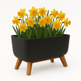 Black planter with yellow flowers on a white background