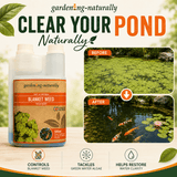 Blanket Weed Pond Treatment bottles shown beside before-and-after pond water clarity results, with text reading 'Clear Your Pond Naturally' and feature icons for controlling blanket weed, tackling green water algae, and helping restore water clarity.