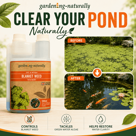 Blanket Weed Pond Treatment bottles shown beside before-and-after pond water clarity results, with text reading 'Clear Your Pond Naturally' and feature icons for controlling blanket weed, tackling green water algae, and helping restore water clarity.