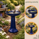 Blue bird bath in a garden with birds drinking water, surrounded by flowers and plants.