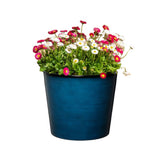 blue garden pot with flowers in white background