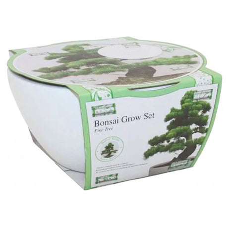 Grow your own bonsai set in bowl with a cardboard wrap