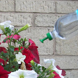 bottle top watering for watering plants
