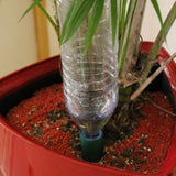 A plastic watering spike placed vertically into the soil of a potted plant, with a water dripper at the top.