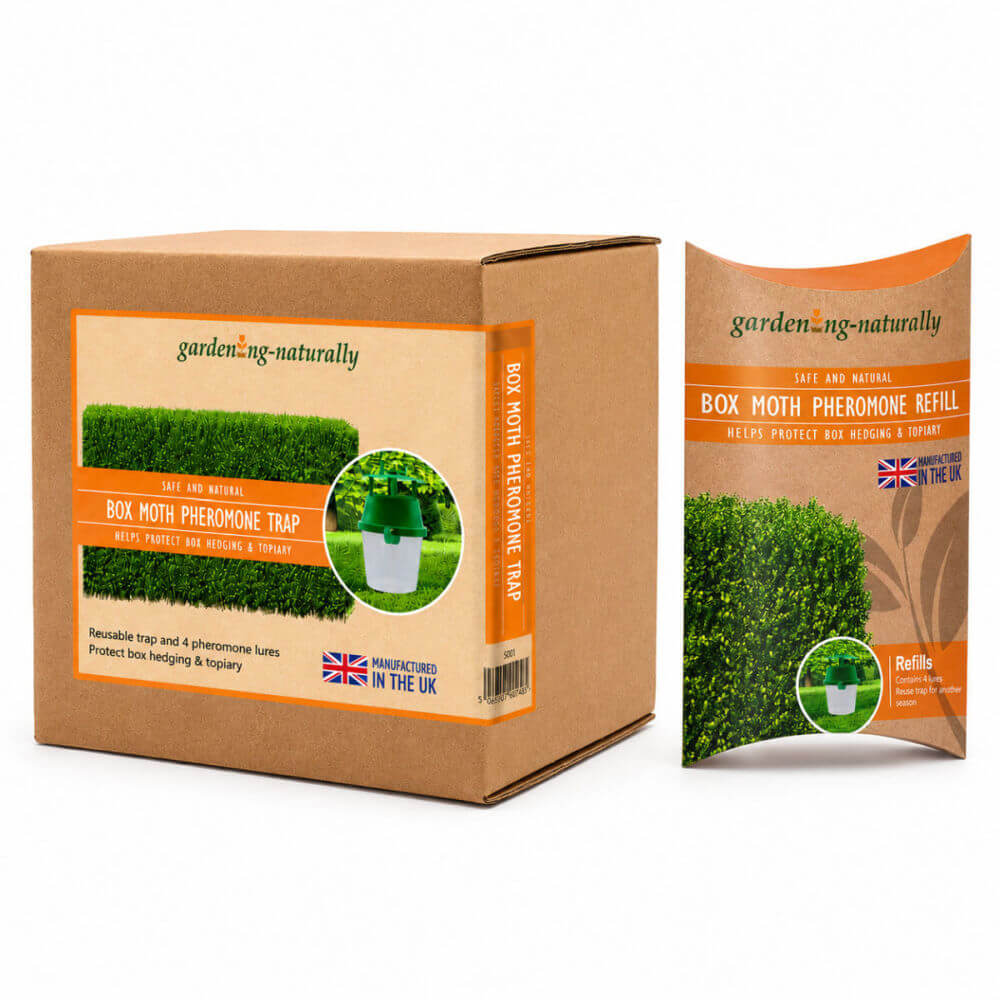 box moth pheromone trap and refill pack