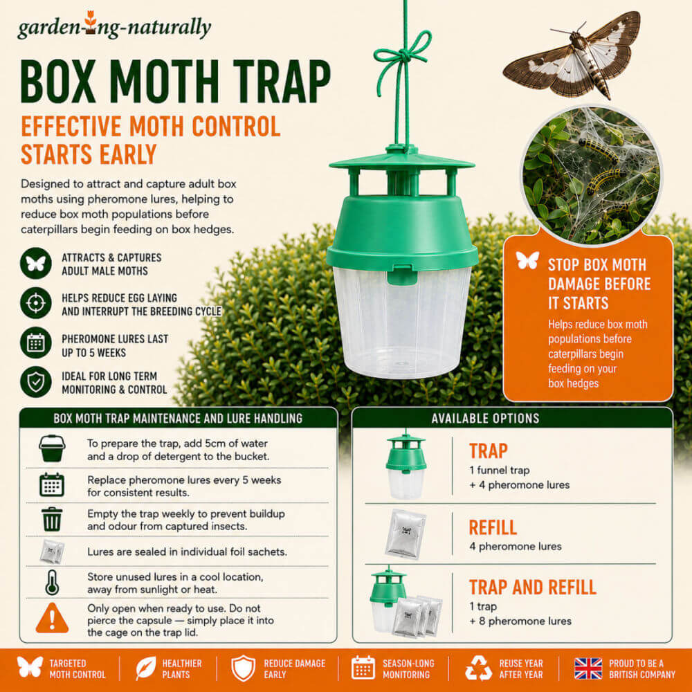 Box moth trap with product details and usage instructions on a gardening-themed background.