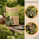 Package of Box Tree Caterpillar Nematodes with gardening tools and plants on a wooden surface.