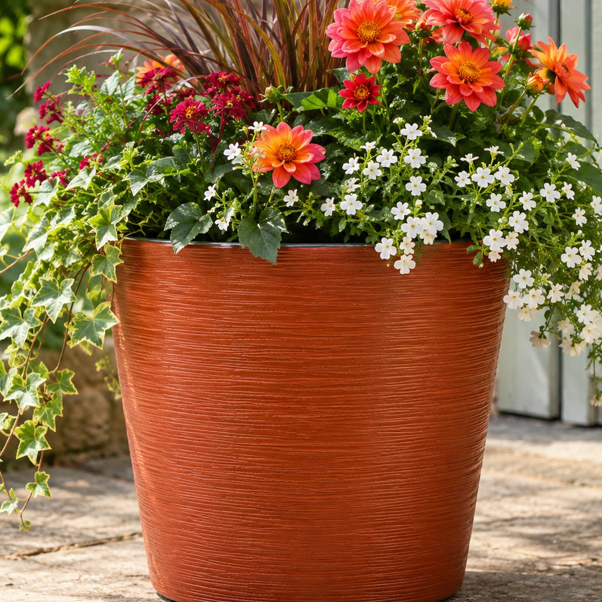 Burnt orange pot flowers outside