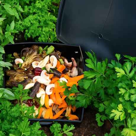burried compost bin with kitchen waste in it