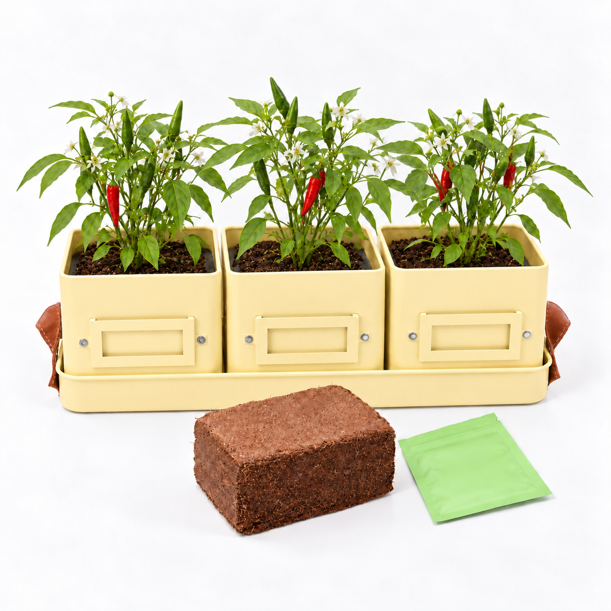 Herb or Chilli Pot sets for the Kitchen, Grey, Buttercream or Green