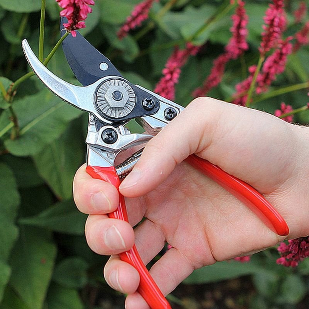 Ladies Professional Bypass Pruner