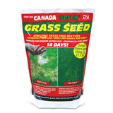 Canada Green Lawn Seed on white background