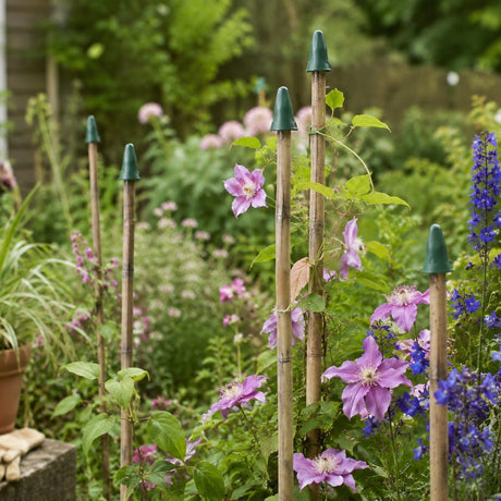 Garden cane caps with purple flowers and bamboo stakes with green caps