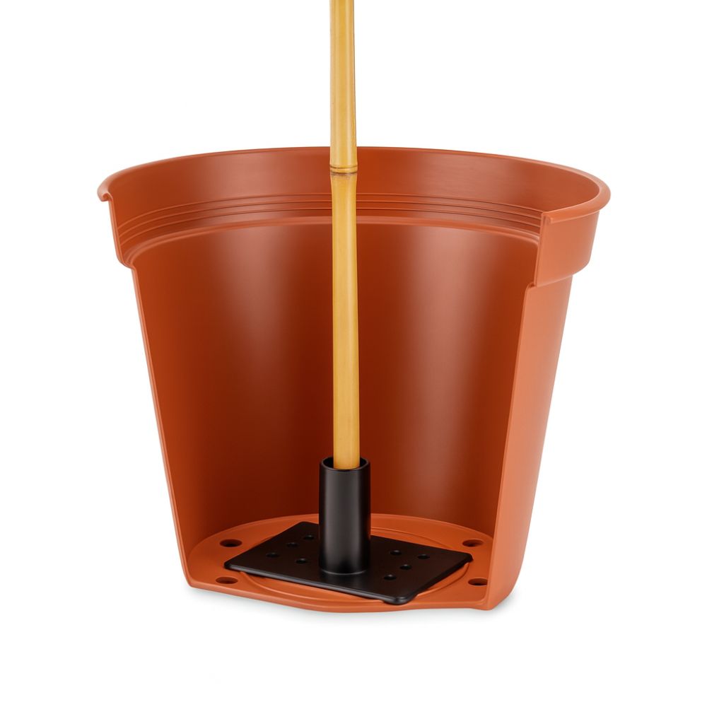 Brown pot with a black base and wooden stake on a white background