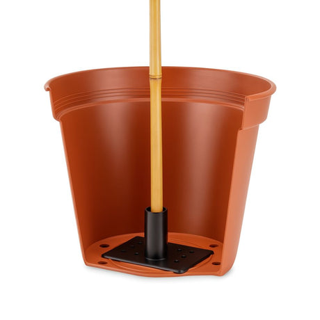 Brown pot with a black base and wooden stake on a white background