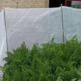 A section of white mesh netting used as a barrier around carrot plants 