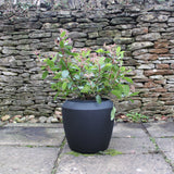 castille garden planter black