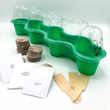 Greenhouse Caterpillar Kit with Seeds for Children