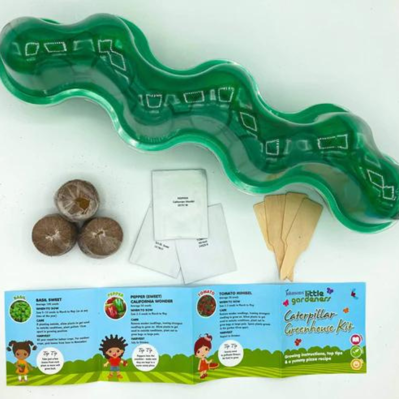 Greenhouse Caterpillar Kit with Seeds for Children