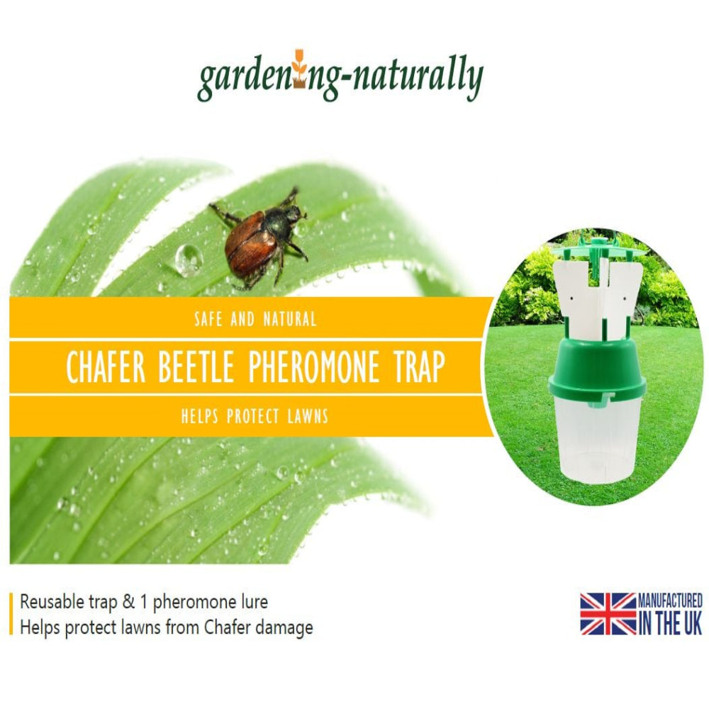 Chafer Beetle Trap and Refills