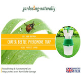 Chafer Beetle Trap and Refills