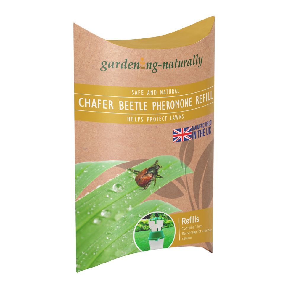 chafer beetle pheromone refill