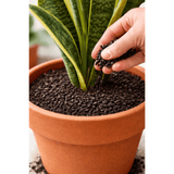 Chicken Manure Pellets Organic Fertiliser 10kg