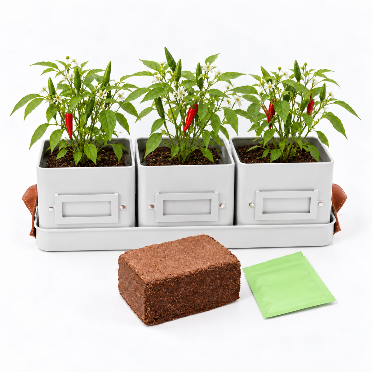 Three potted chili pepper plants in white rectangular containers on a matching tray, with a brown coir plug and a green packet displayed in front on a white background.