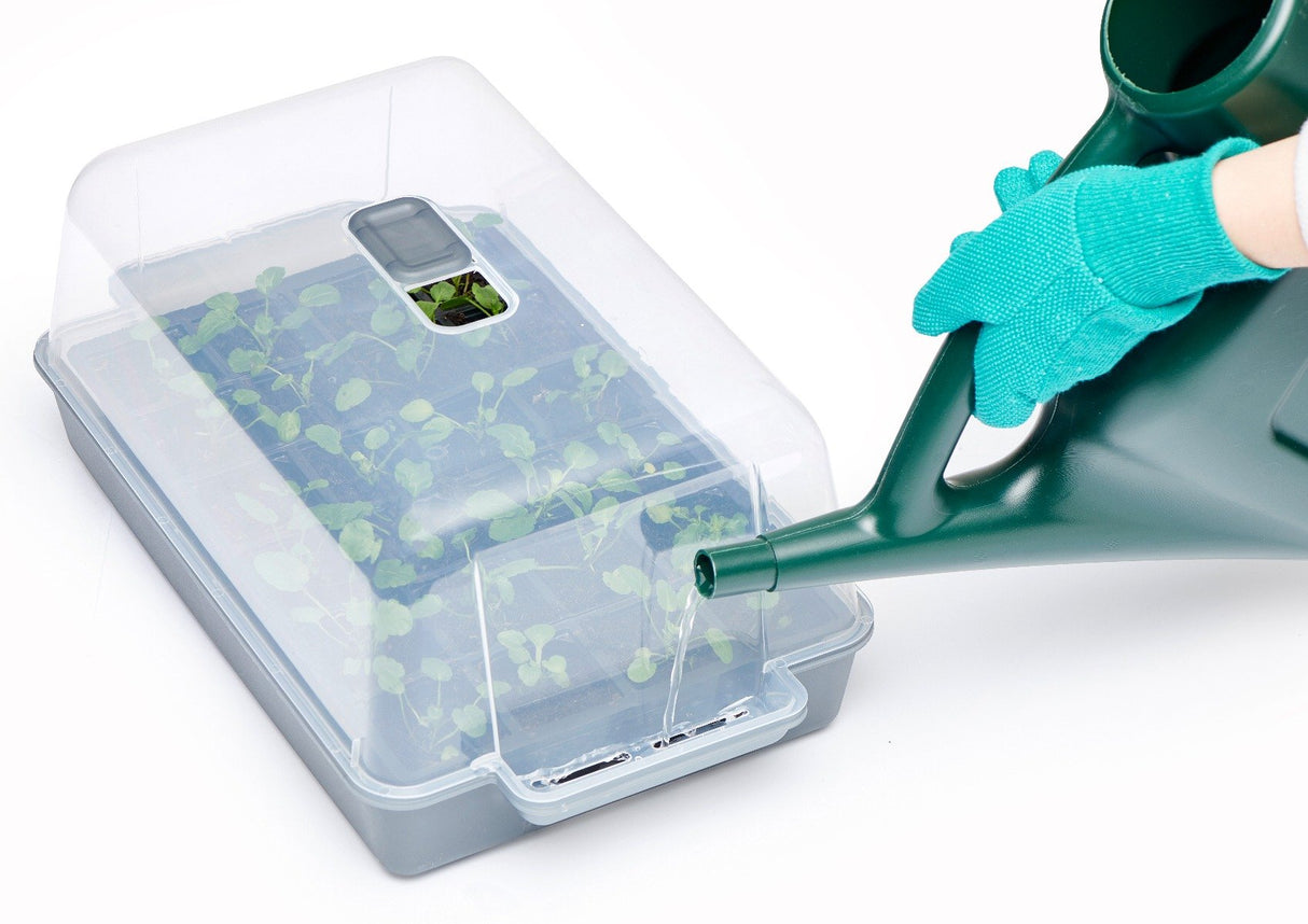 Easy Watering Propagator