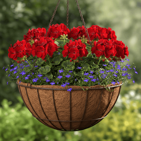 close of red flowers in coco liner in hanging basket