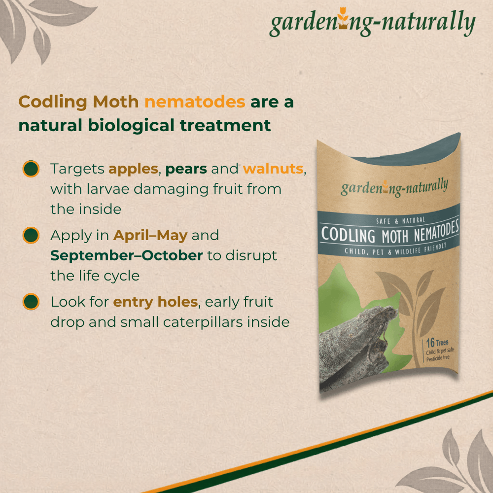 Gardening Naturally codling moth nematodes packaging with text on a beige background