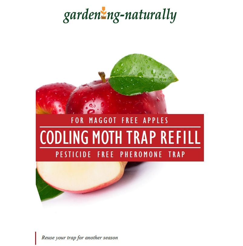 Codling Moth Pheromone Traps & Refills for Apples