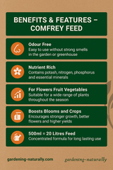 benefits of comfrey feed