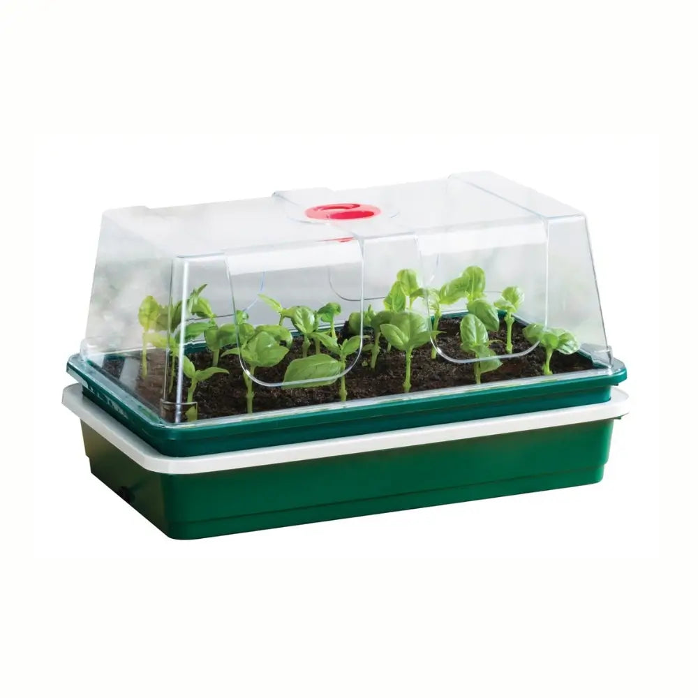 compact one top propagator