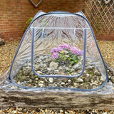 cone shape growhouse cloche