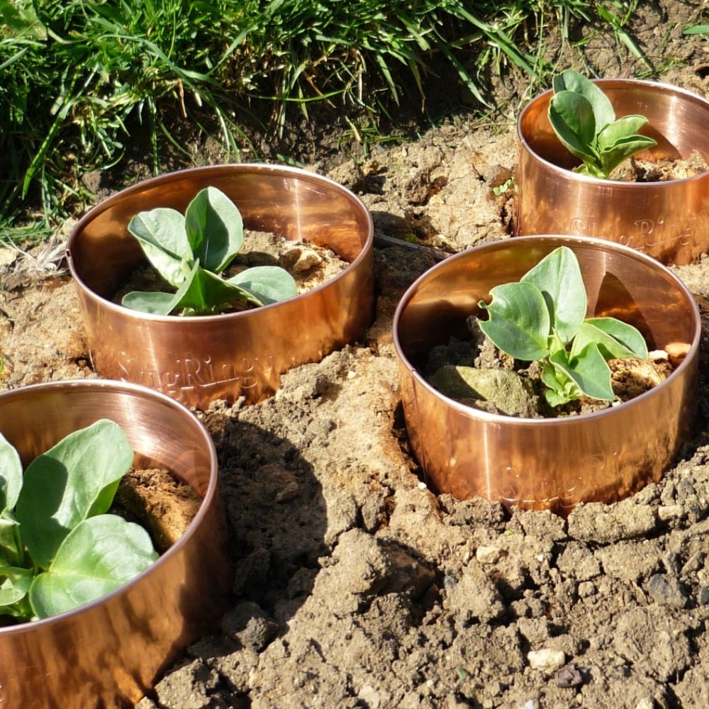Copper Slug Rings Pest Control Set – Gardening Naturally