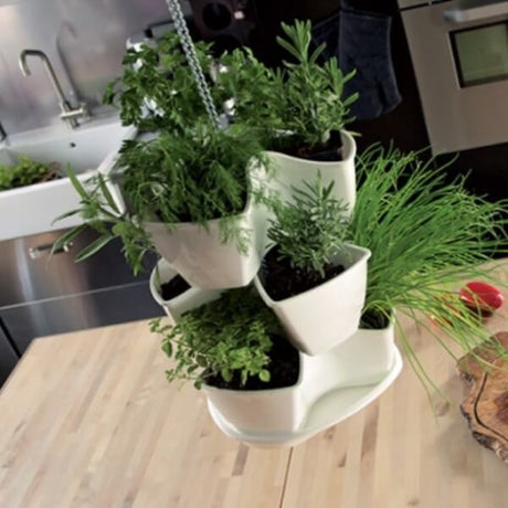 A white Coubi herb planter with multiple slots, designed to be stacked or hung for herb gardening.