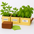 Set of potted herbs with labels in  yellow pots