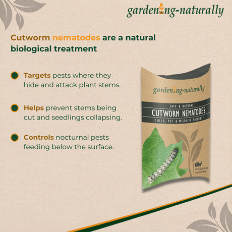 Package of cutworm nematodes with text about their benefits on a beige background.