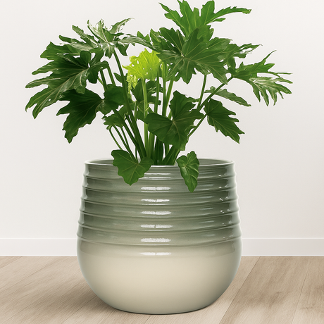 Danube Ceramic Effect Plant Pot - Sage and Ivory