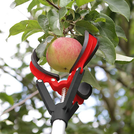 close up of darlac red and black apple grabber grabbing apples