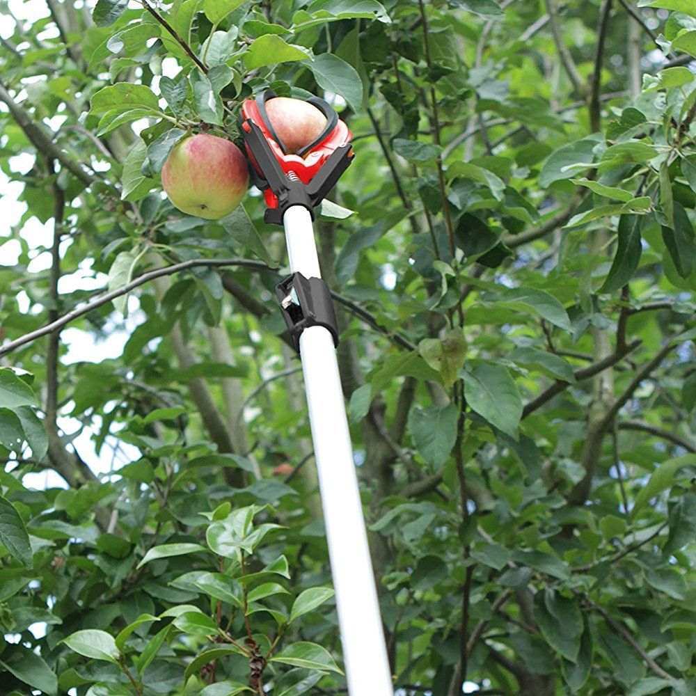 telescopic fruit grabber